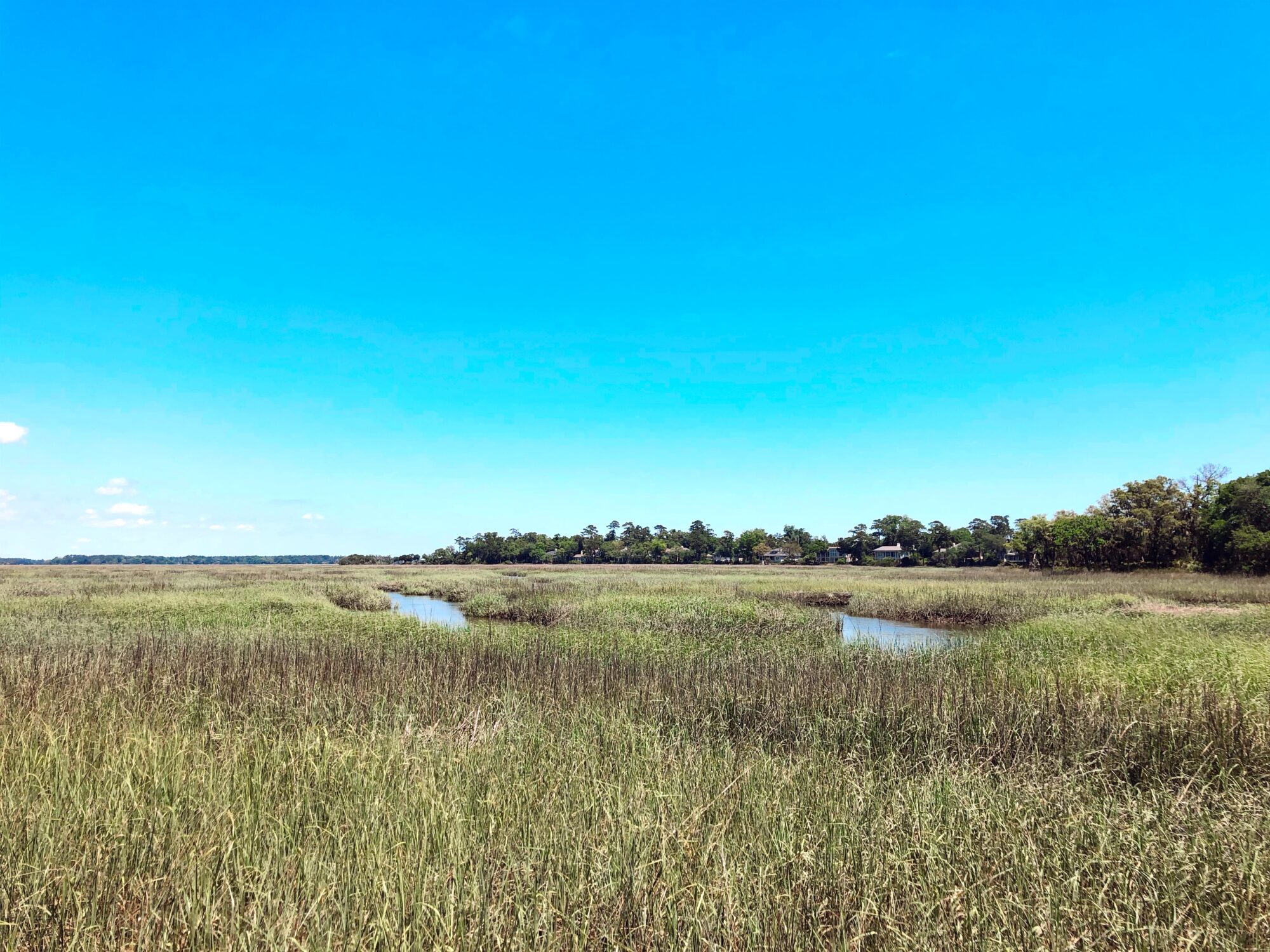 Camping site in Georgia wetlands 