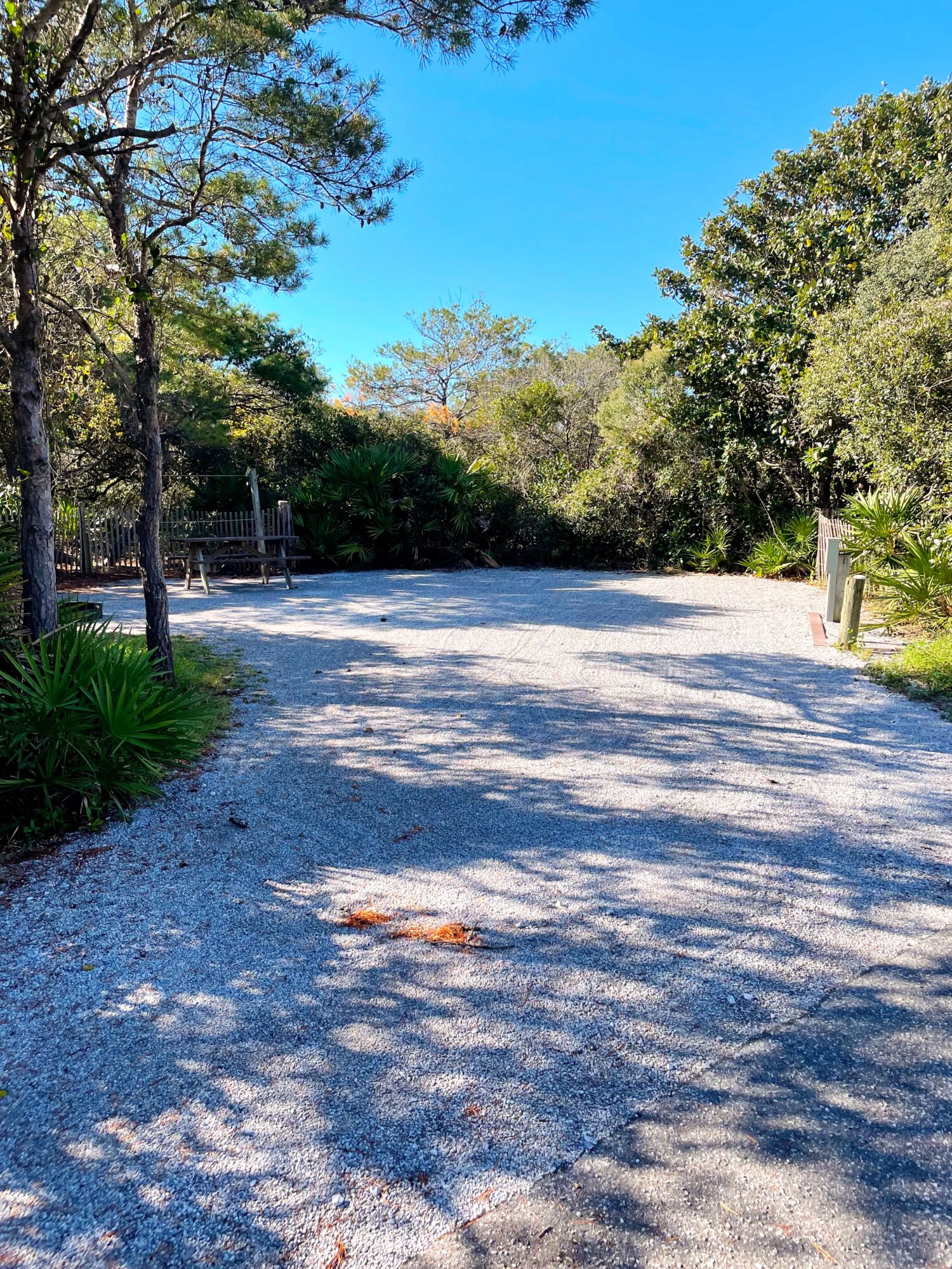 Camping Site at Henderson Beach State Park with gravel and natural vegetation 