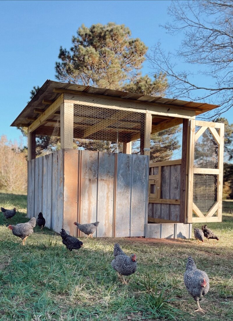 DIY Chicken Coop Project