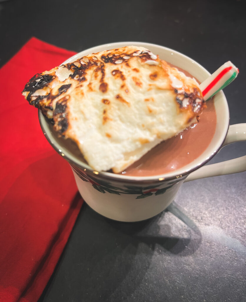 Hot chocolate with homemade marshmallow 