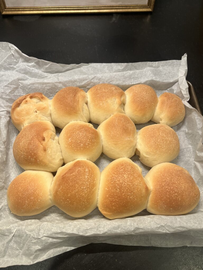 Sourdough Dinner Rolls 
