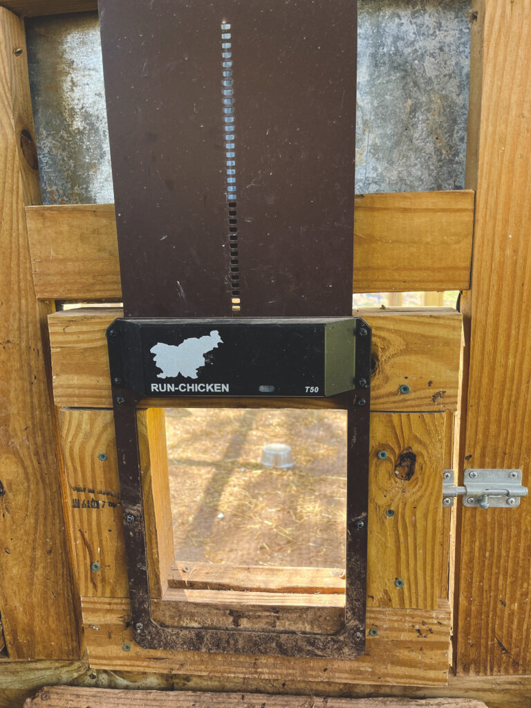 Automatic chicken door 