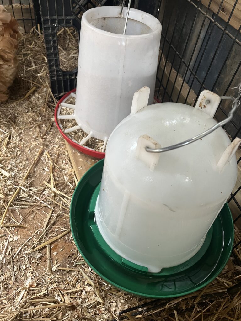 Chicken waterer