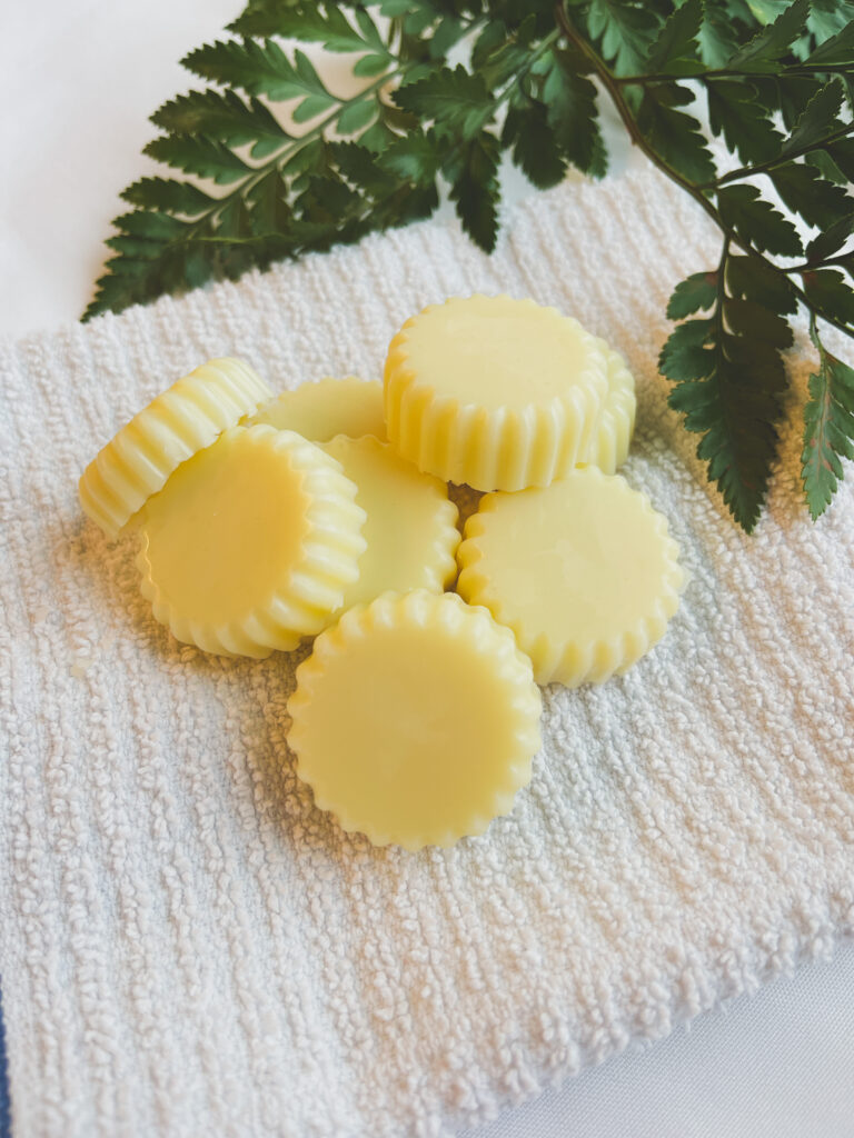 Lotion Bars on a towel with a green plant 