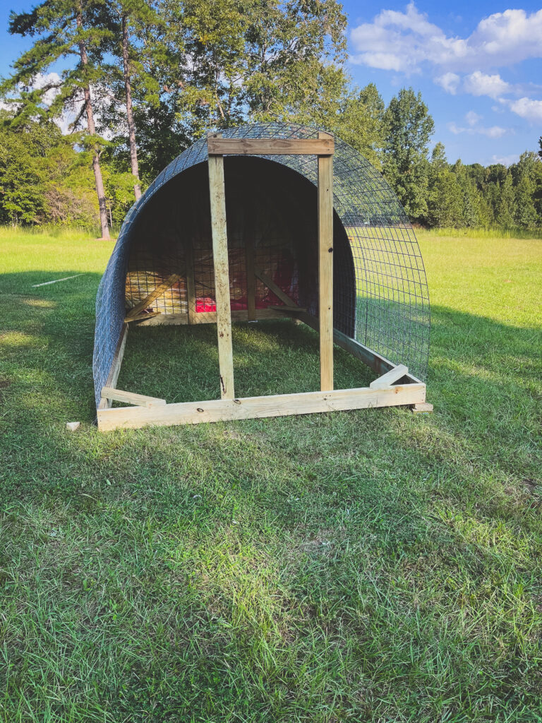 chicken tractor during building process 