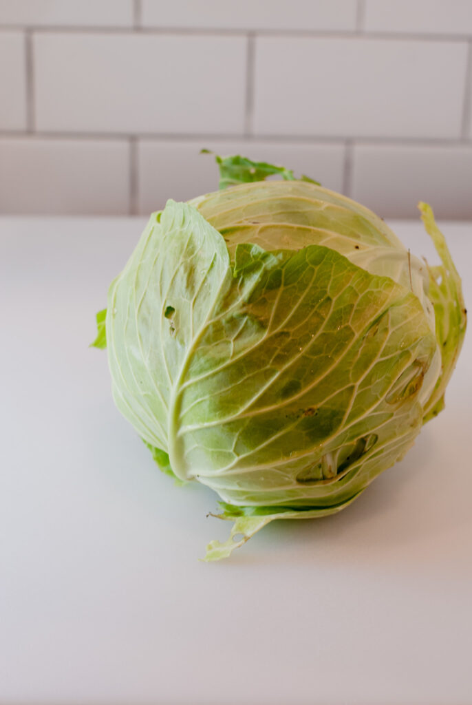 Head of cabbage 
