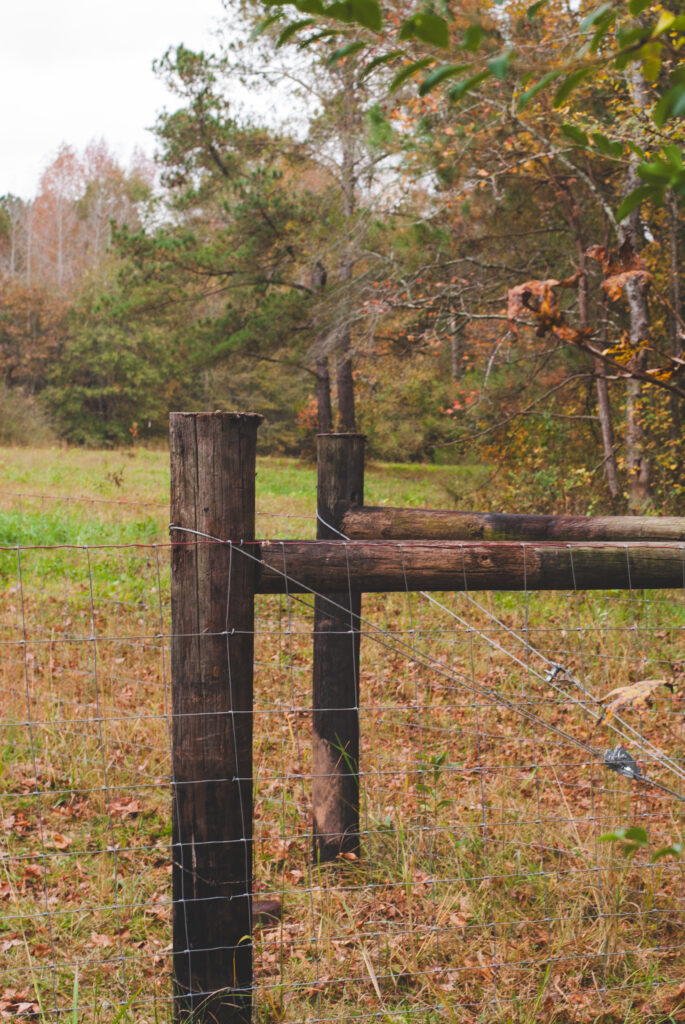 Winter pasture with fence post and fall leaves in the background. 