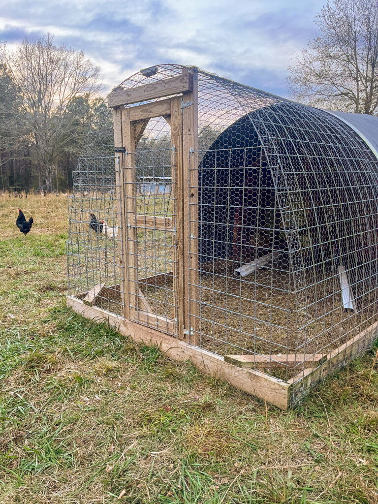 Livestock hoop house used for pigs during winter 