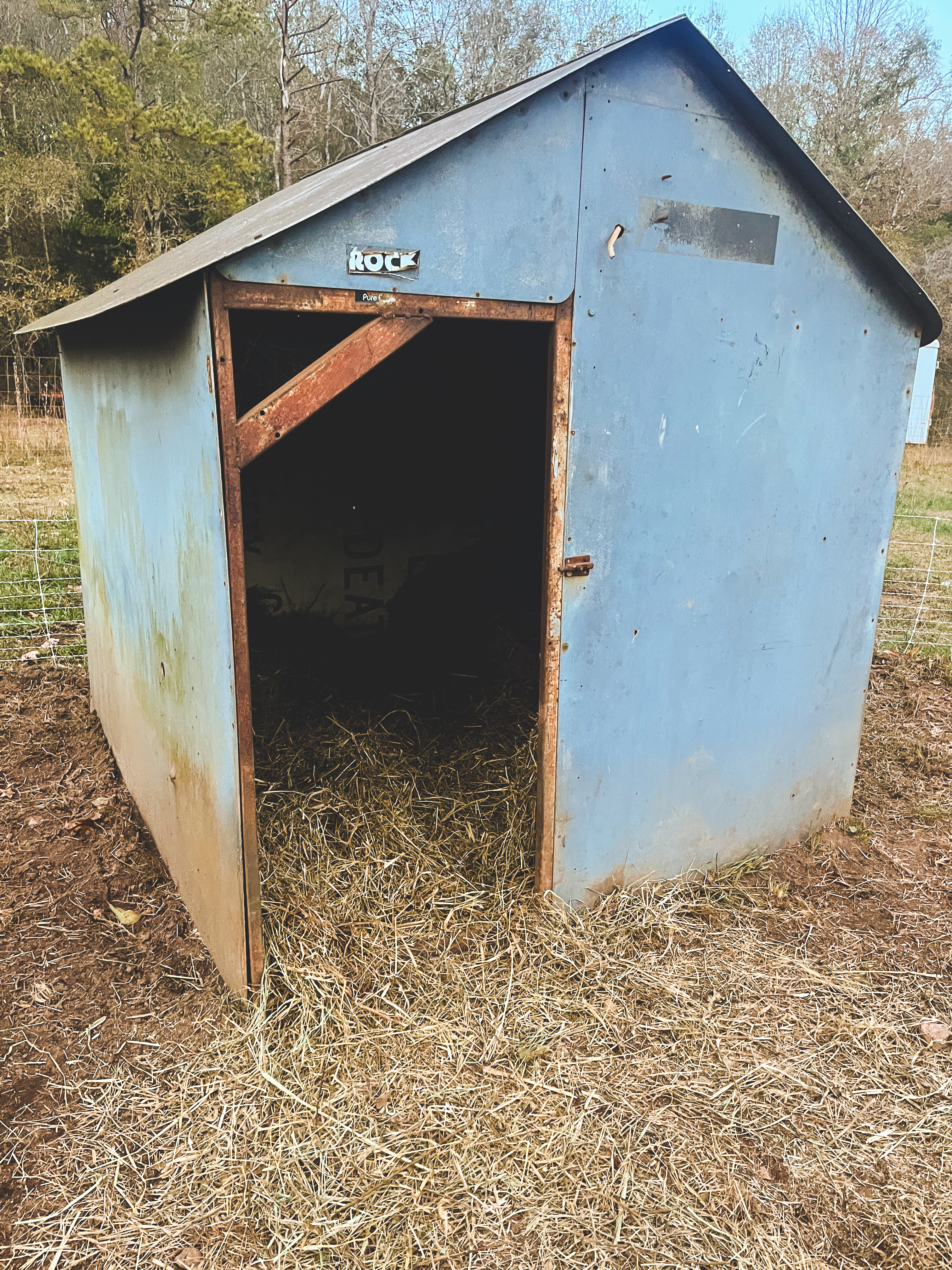 Metal set converted into a pig shelter  for winter 