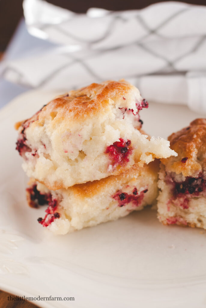 Biscuits on a white plate 