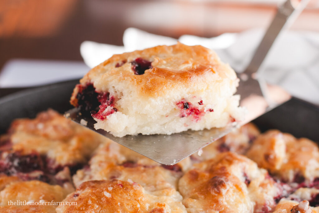 Blackberry biscuit on a spatula 
