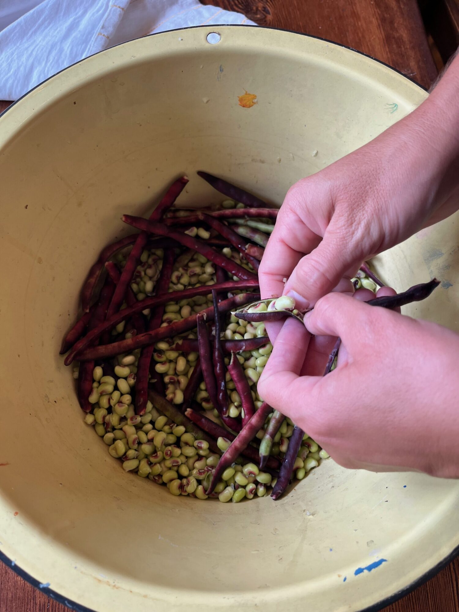 Purple Hull Peas: Growing, Preparing, and Preserving this Southern