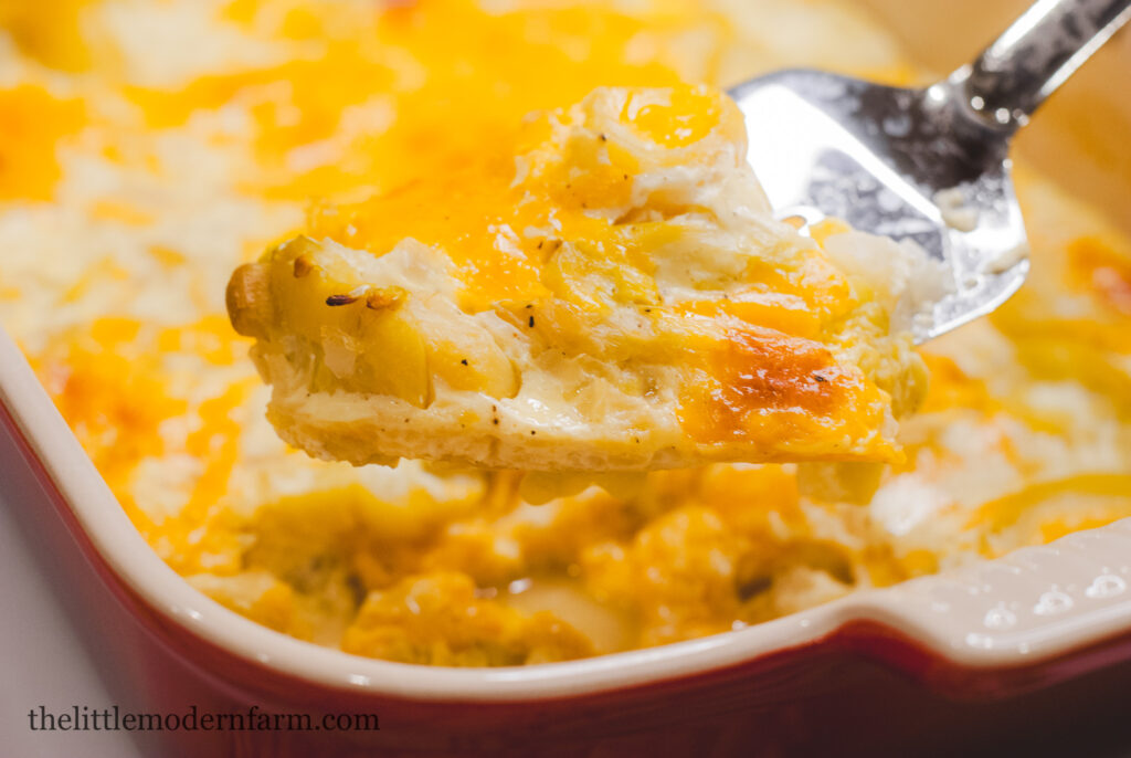 squash casserole in a baking dish and on a spoon. 