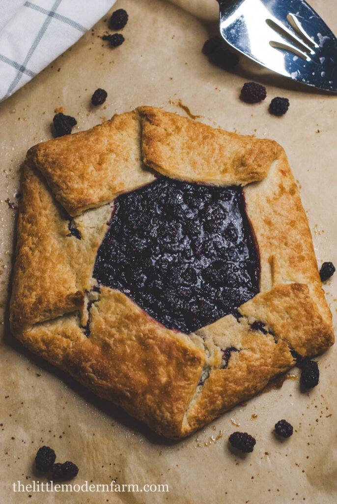 blackberry galette with blackberries in background 