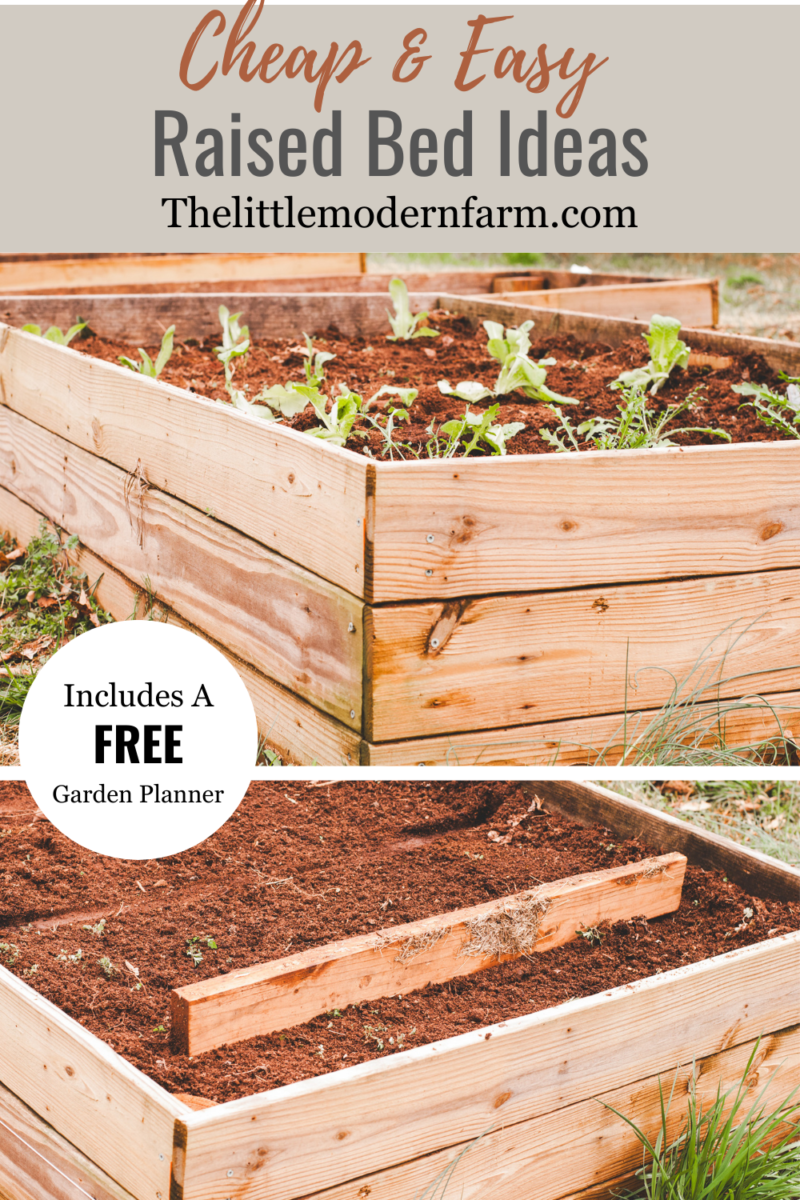 Ideas For Cheap Raised Beds - The Little Modern Farm