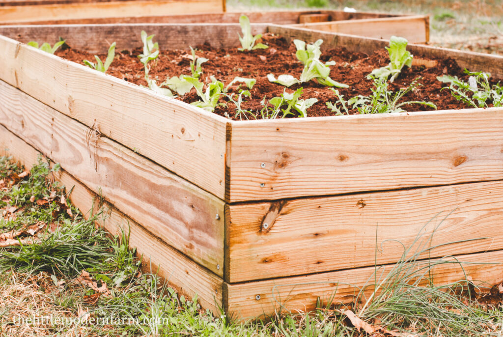 Raised garden bed 