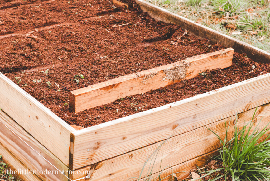 Raised garden bed 