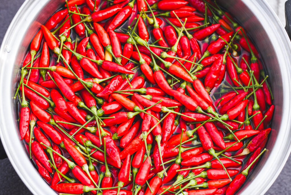 Cayenne peppers- Gardening 