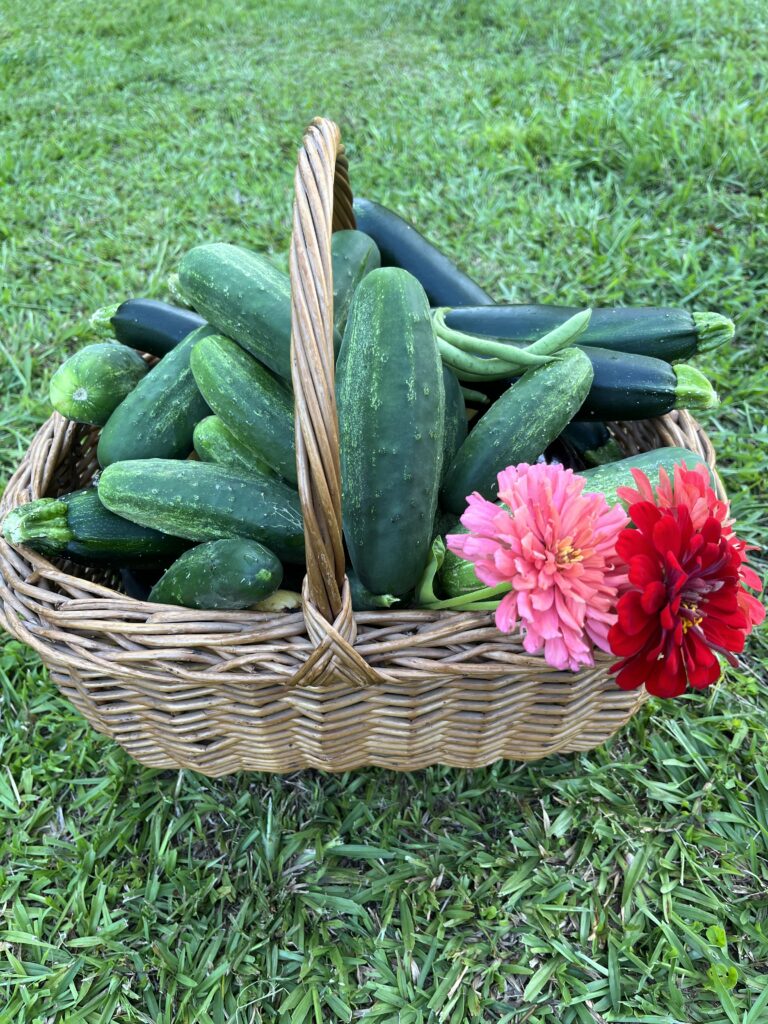 basket of cucumbers, zucchini, and flowers 