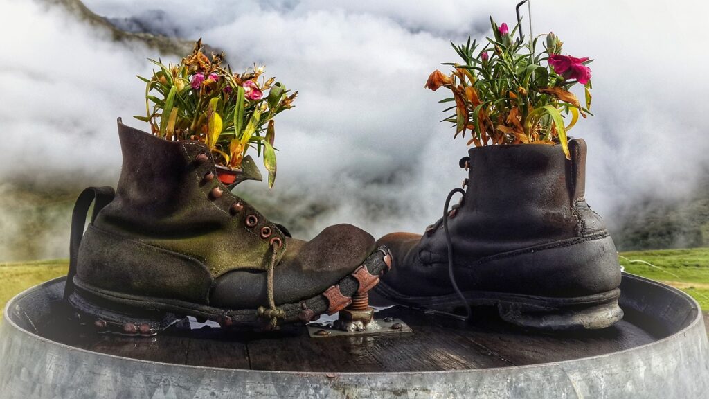 Old shoes with plants in them 
