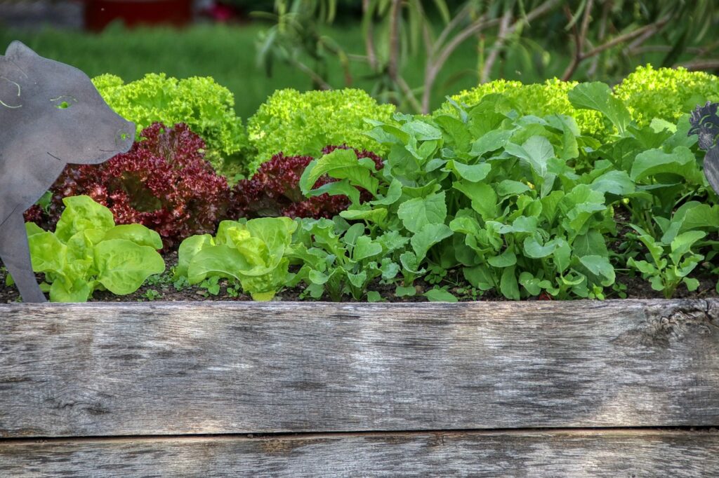 garden bed with various plants and a pig statue 