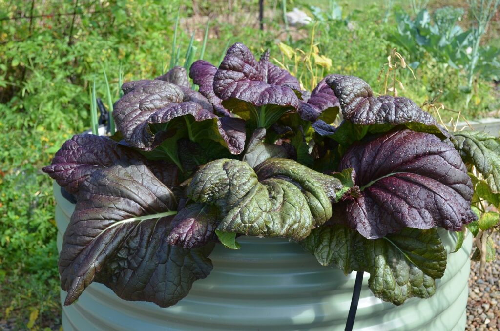 round planter with purple plant in it