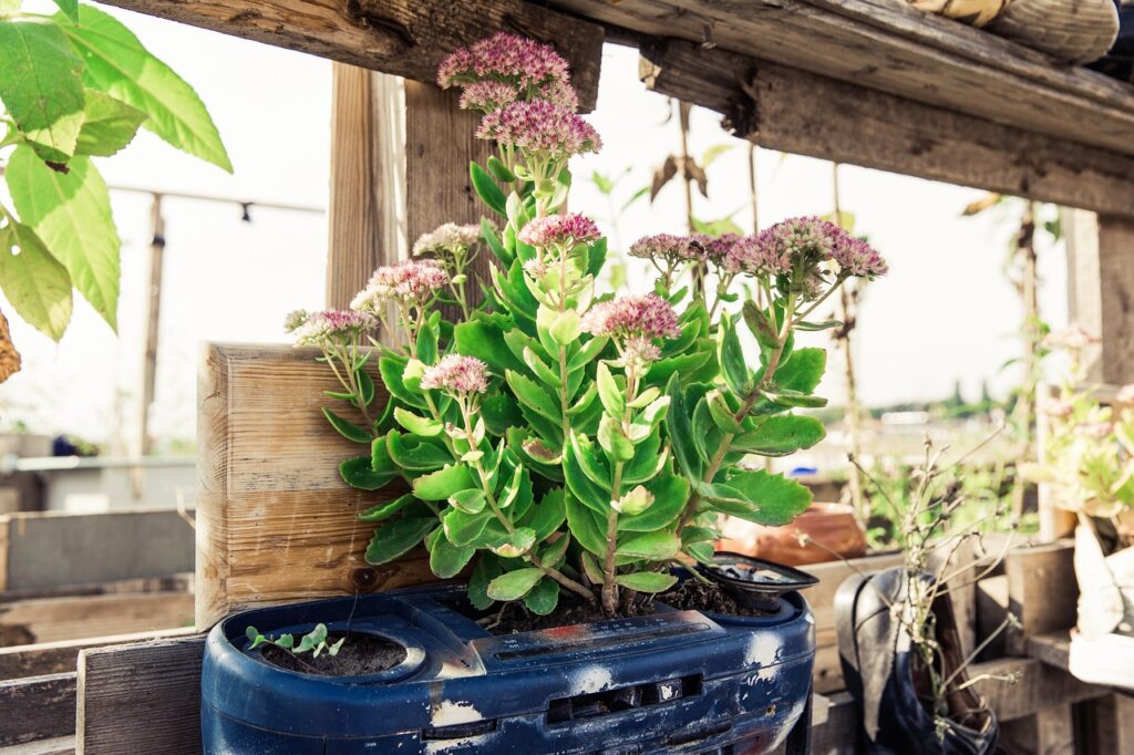 old radio garden bed with flowers in the center 