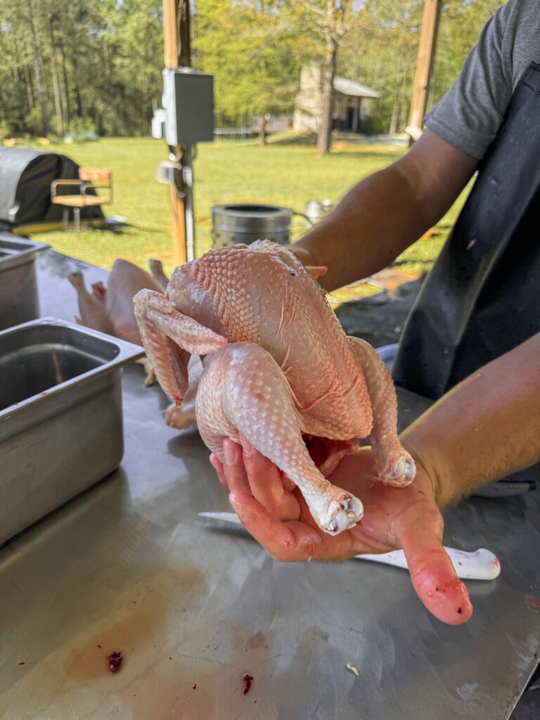 Man Holding whole chicken 