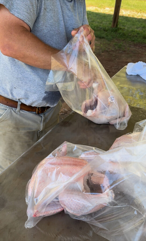 Chicken being placed in shrink-wrap bag 