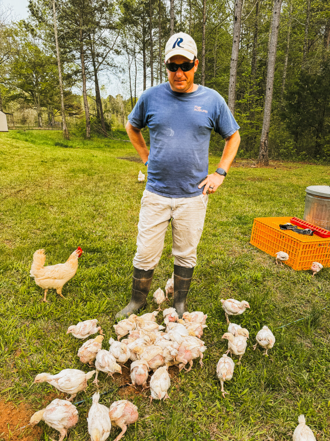 How To Process A Chicken - The Little Modern Farm
