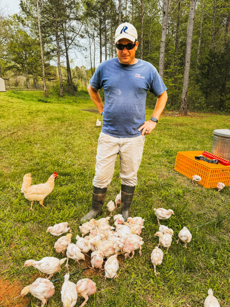 man with broilers on pasture 