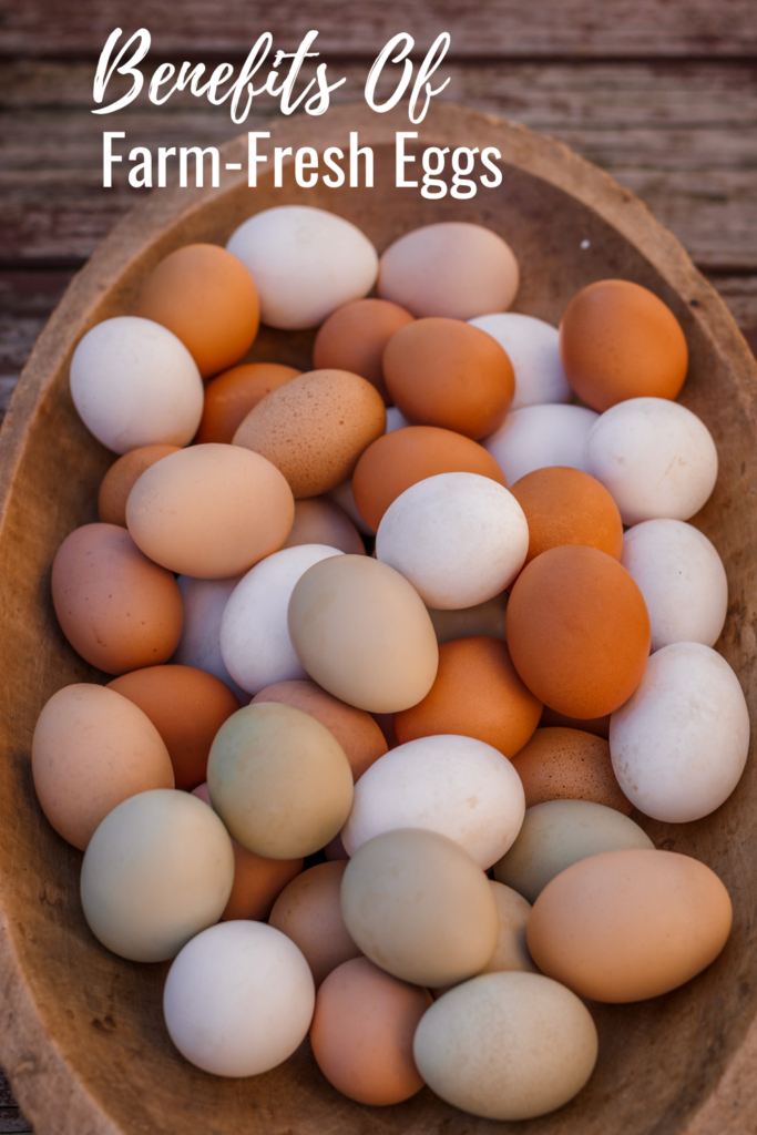 various colored fresh eggs in a wooden bowl. 