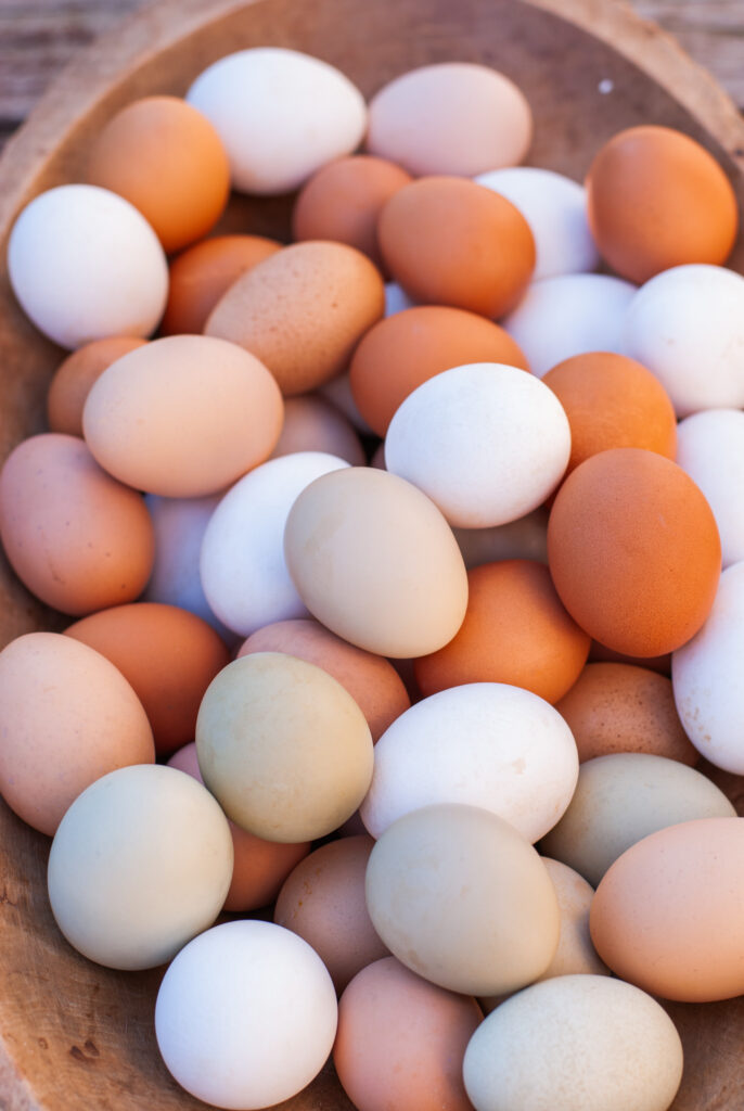 Colorful eggs in a bowl 