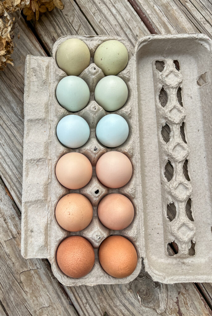 blue, green, pink, and purple eggs in a carton.