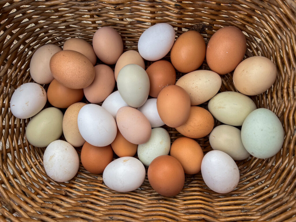 Various colored eggs in a basket 