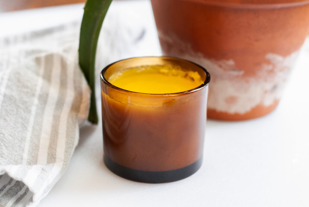 Yellow after sun lotion in an amber jar on a white surface with aloe vera plant. 