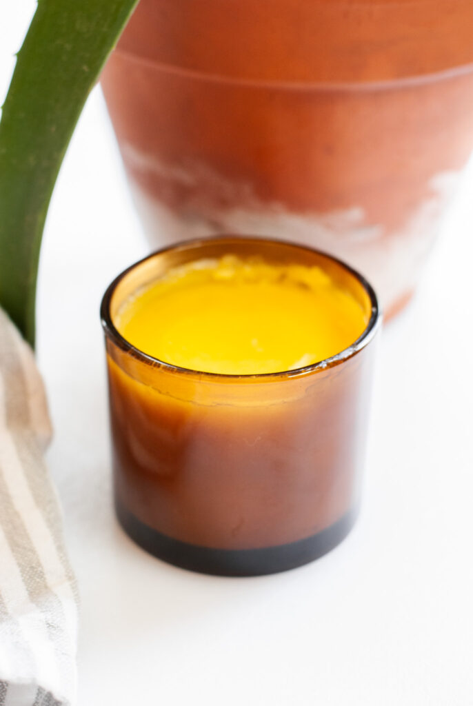 Yellow after sun lotion in an amber jar on a white surface with aloe vera plant. 