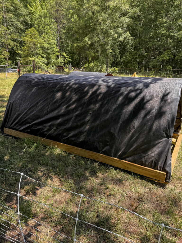 Portable pig shelter on green grass 