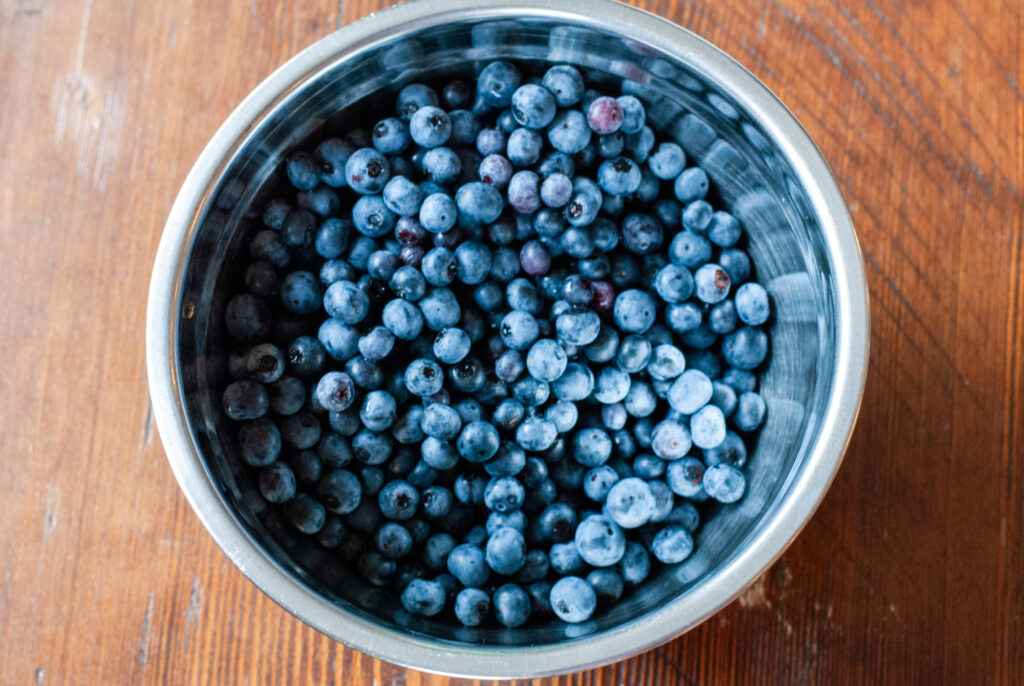 bowl of blueberries 