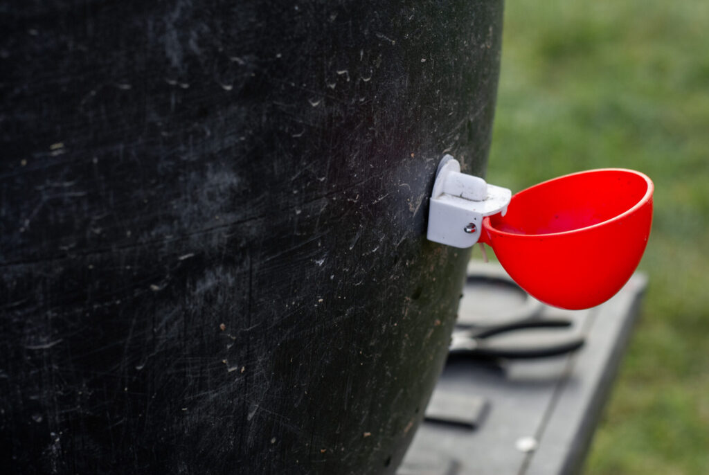 Red chicken waterer cup 