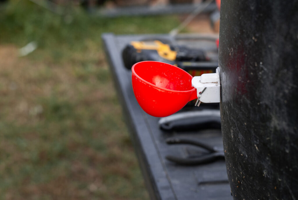 Red chicken waterer cup 