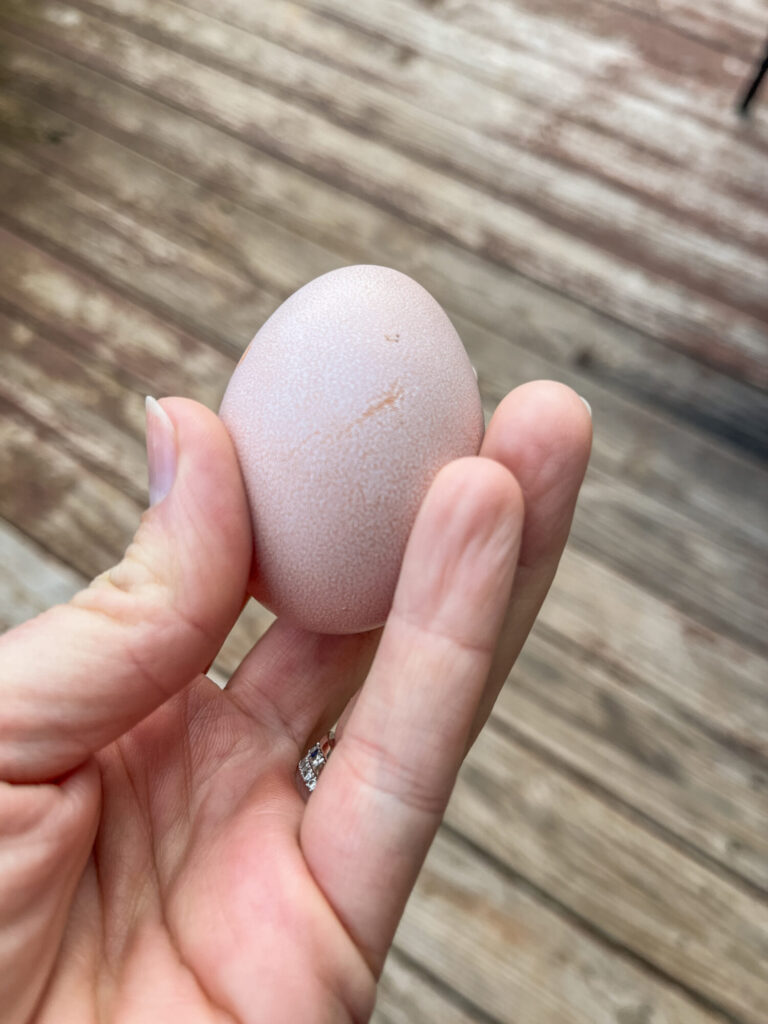 Smaller egg in a person's finger tips 