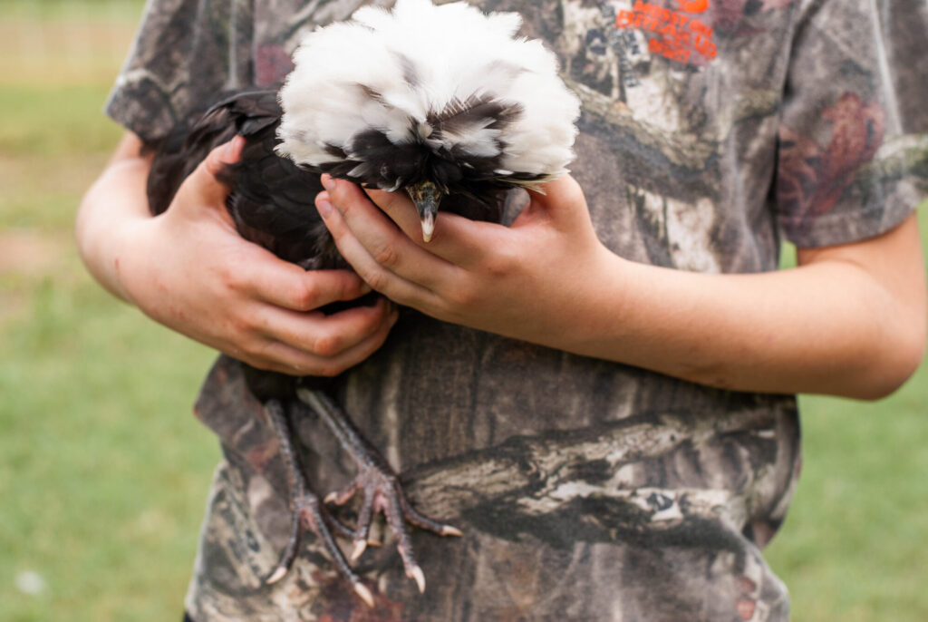 boy in camouflage shirt holding Polish chickens