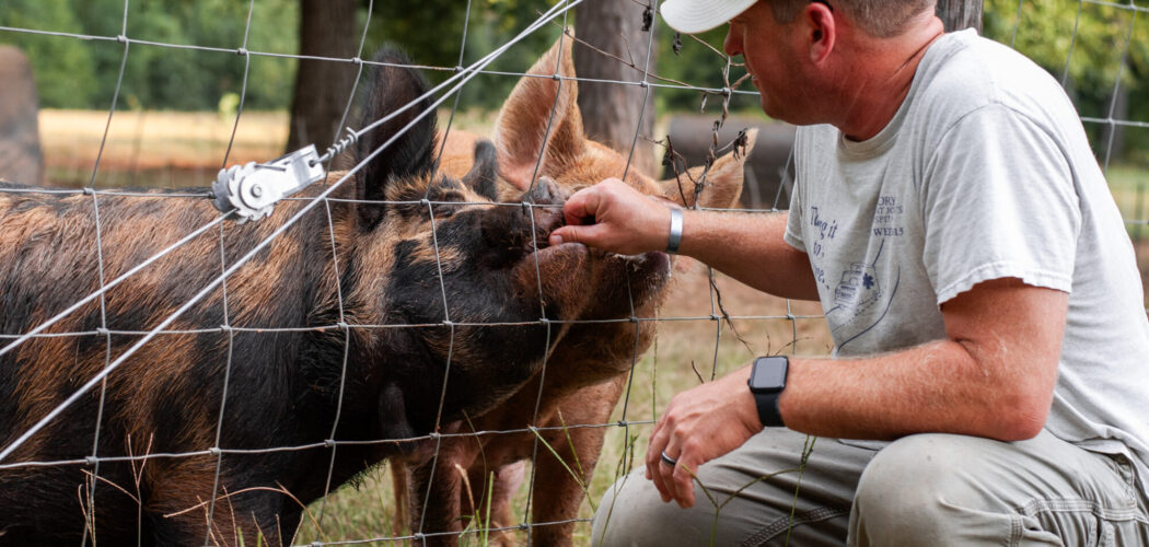 Balancing Homestead Chores and Housekeeping Without Losing Your Mind