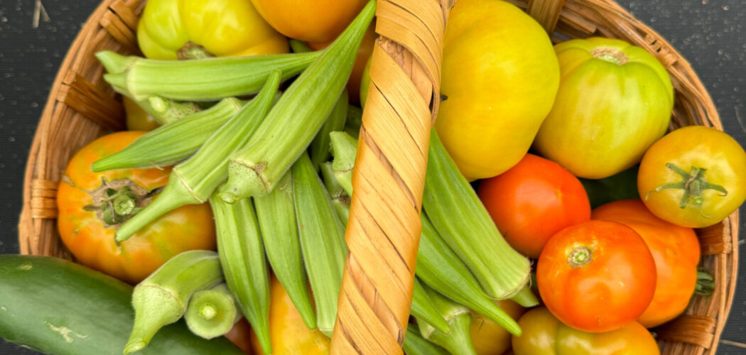 Top 15 BEST Heat-Tolerant Fruits and Vegetables