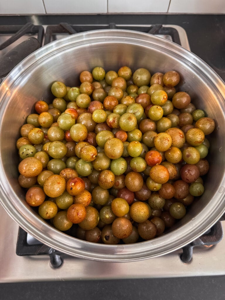 muscadines in a pot on a stove